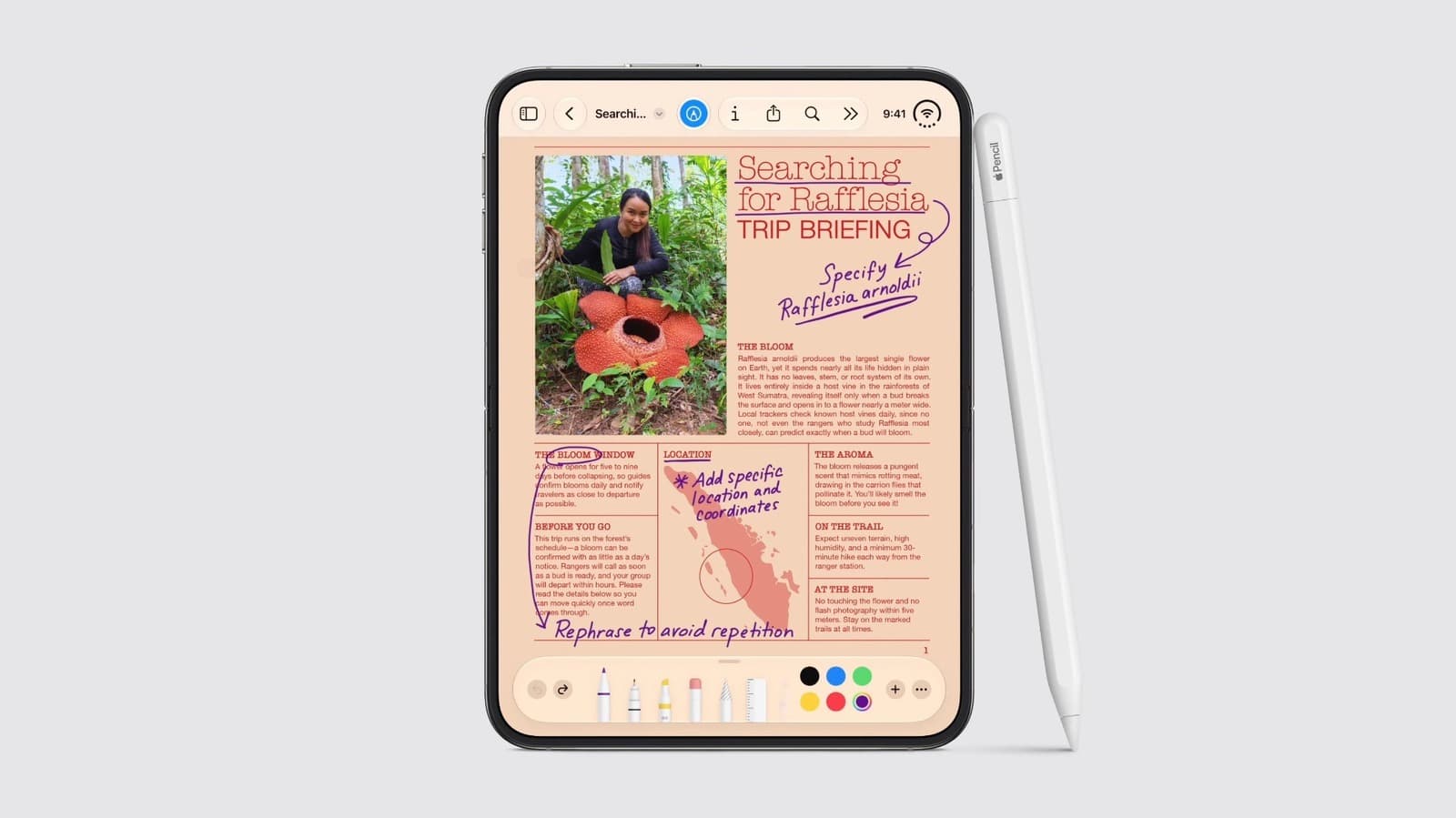 Can you use an Apple Pencil with an iPhone?